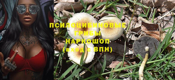 СК Баксан