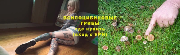 наркотики Белокуриха