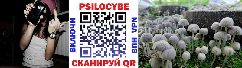 Псилоцибиновые грибы GOLDEN TEACHER Болхов